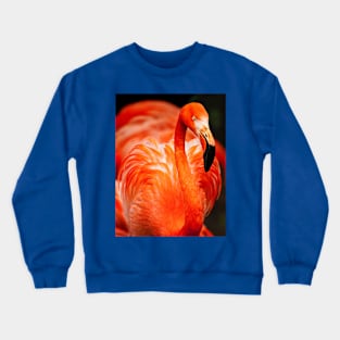 Wild life design Crewneck Sweatshirt